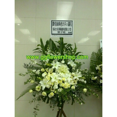 F045 樹枝架